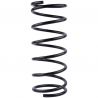 COIL SPRING (Rear, Standard)