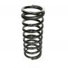 COIL SPRING (Rear, Standard)