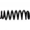 COIL SPRING (Rear, Standard)
