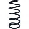 COIL SPRING (Rear, Standard)