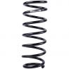 COIL SPRING (Rear, Standard)