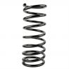 COIL SPRING (Rear, Standard)