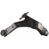 CONTROL ARM (Lower, Left)