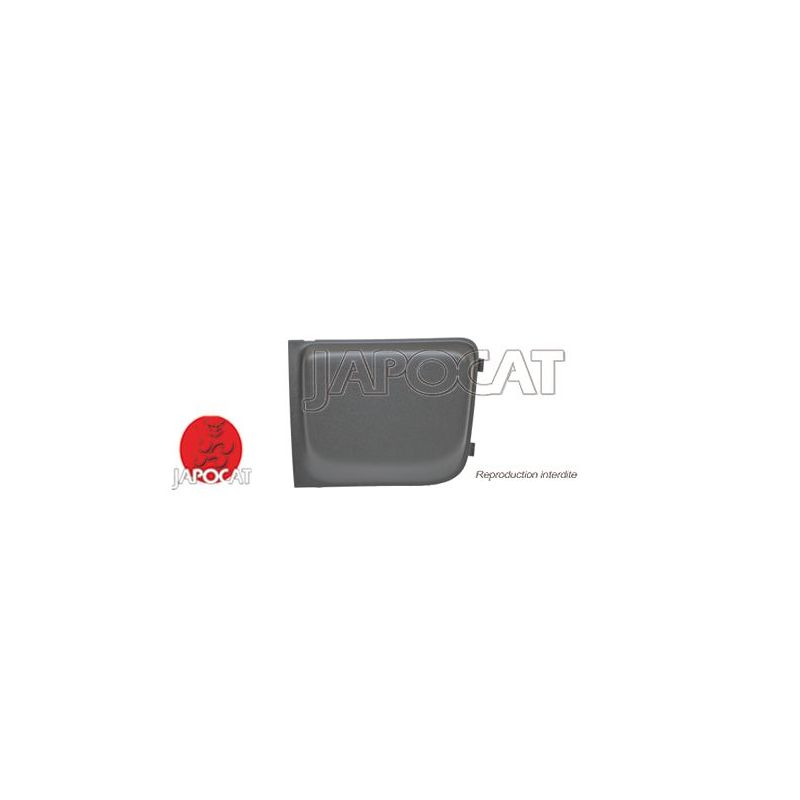 CACHE DE PC AVG RENEGADE