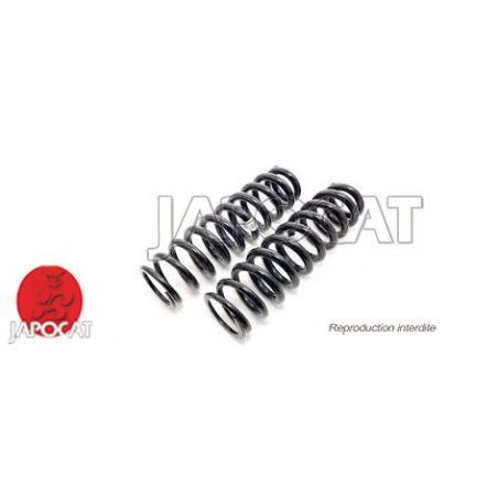 RESSORT HELICOIDAUX TT LA PAIRE